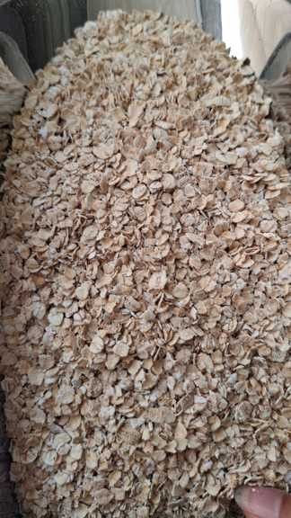 جودوسرپرک ریز فوری آلمانی از کجا بخرم؟